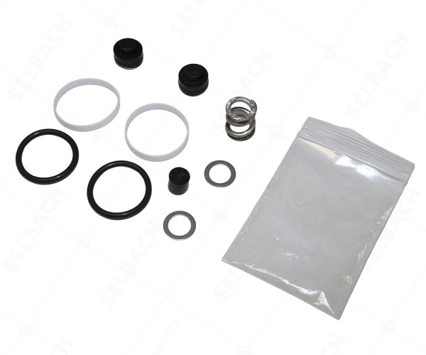 Dichtungskit für Kugelhahn SK 301-001