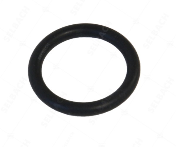 O-Ring